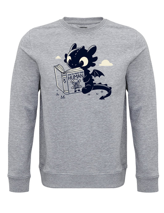 How to train your human