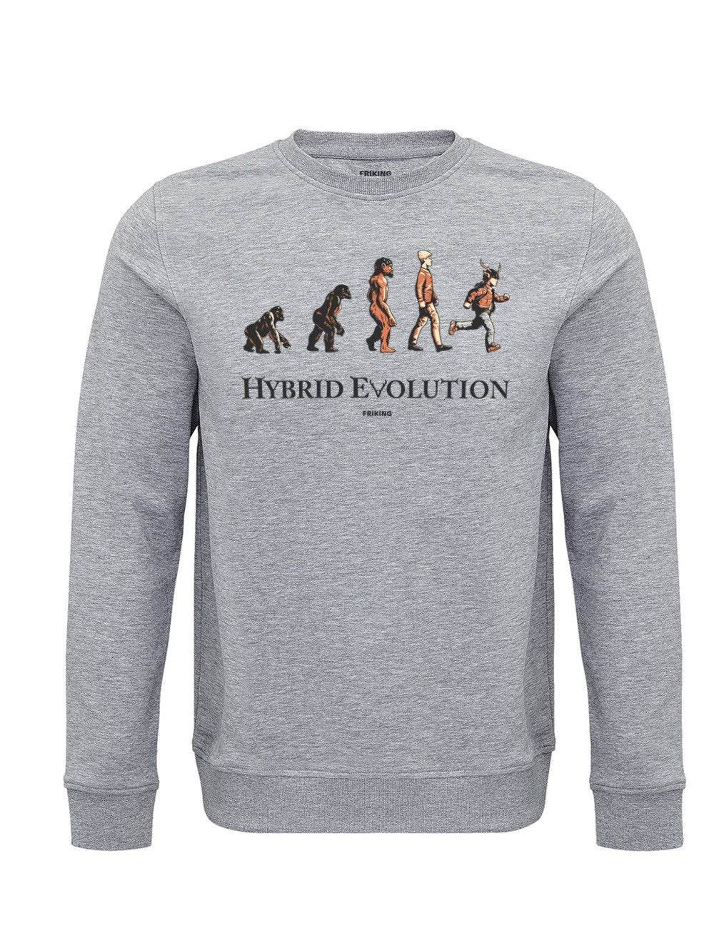 Hybrid evolution