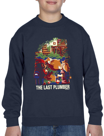 The last plumber
