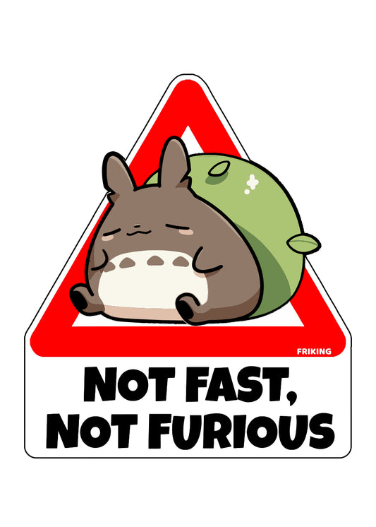 Not Fast. Not Furious