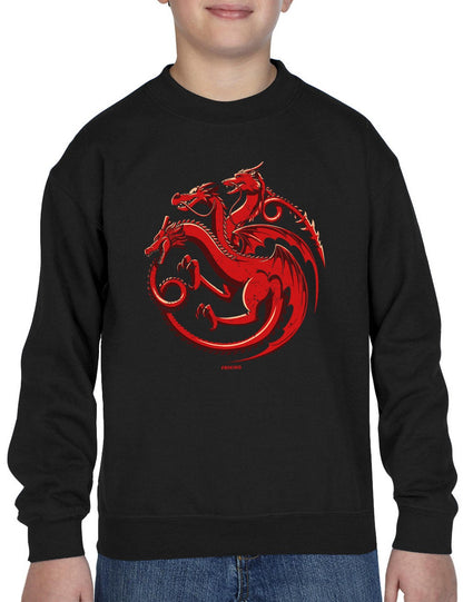 Types of Dragons