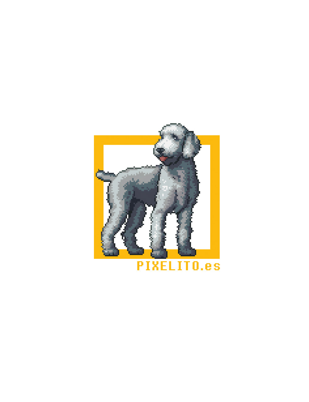 Bedlington Terrier -Azul - 021px