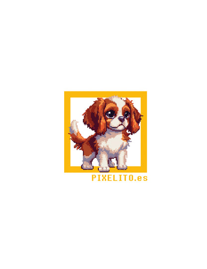 Cavalier King Charles Spaniel - 030px