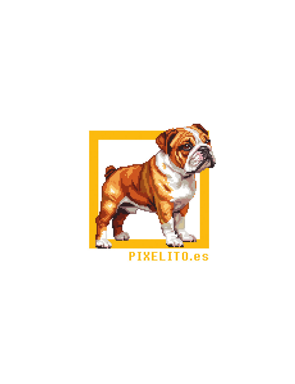 French bulldog - 026px
