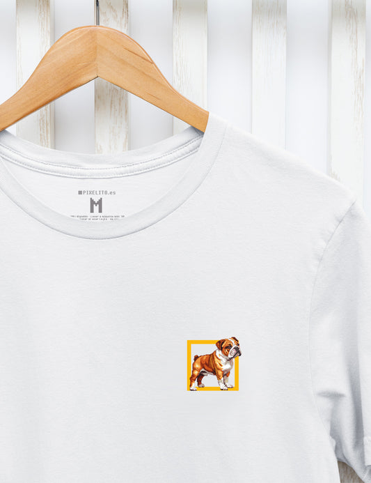 French bulldog - 026px
