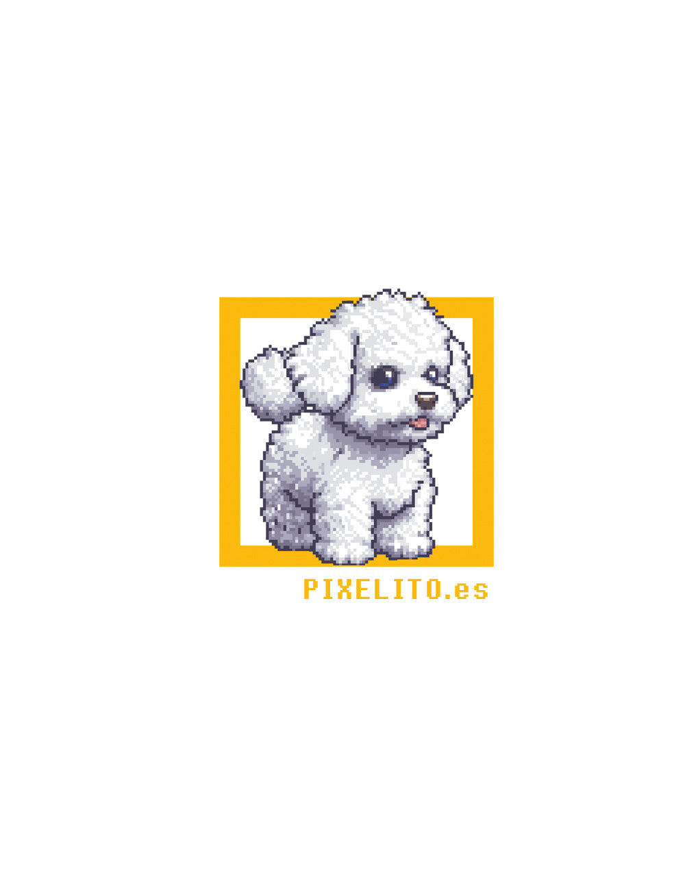 Frisé bichon - 022px