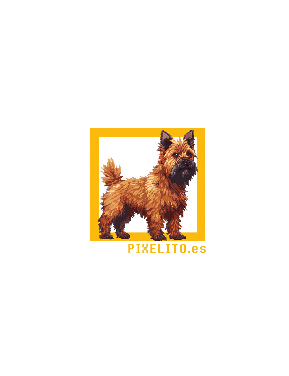 Cairn Terrier - 029px