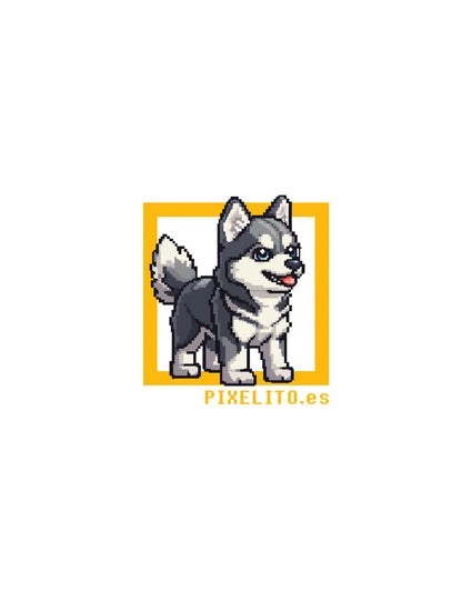 Husky Siberian - 036px