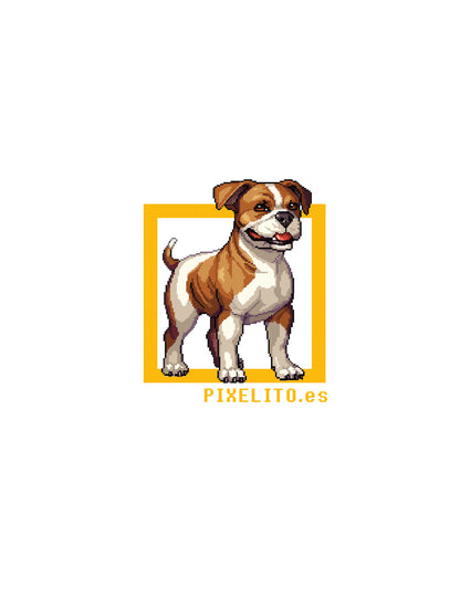 American Staffordshire Terrier - 018px