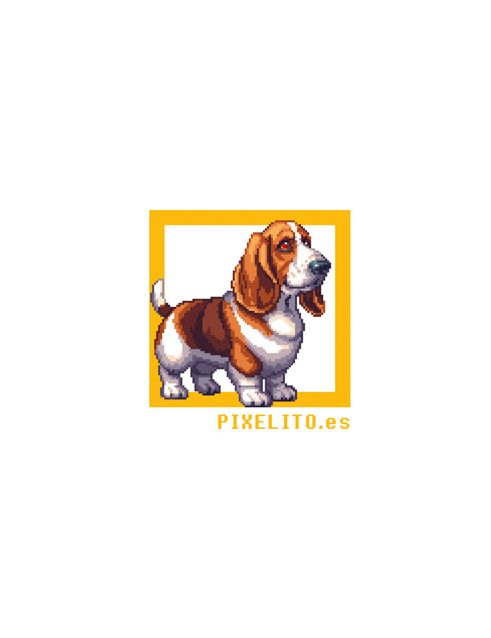 BASSET HOUND-AMARRON-BLANCO-019PX
