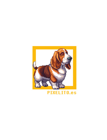 BASSET HOUND-AMARRON-BLANCO-019PX