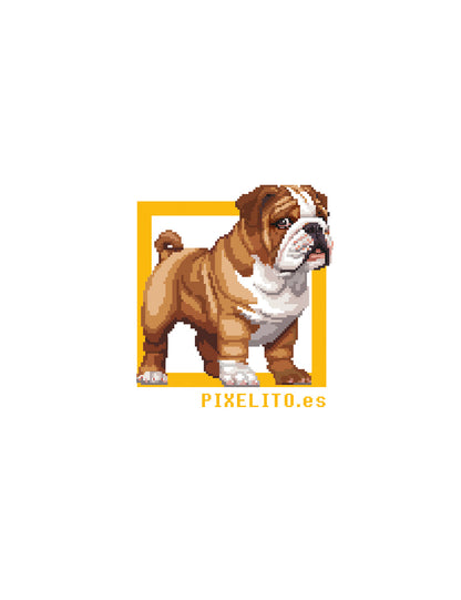 English bulldog - 027px