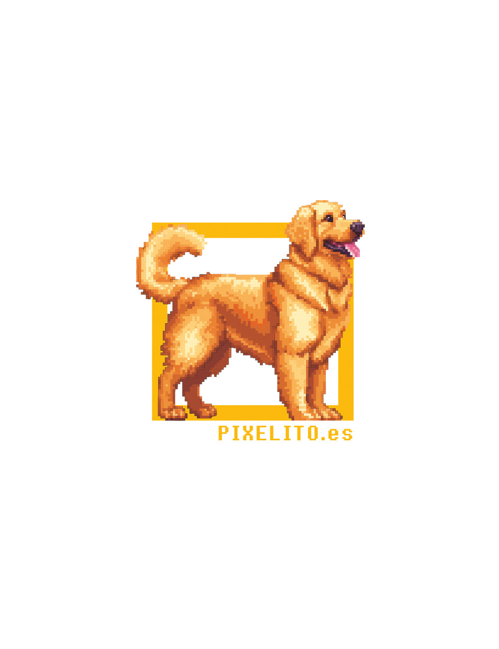 Golden Retriever - 035px