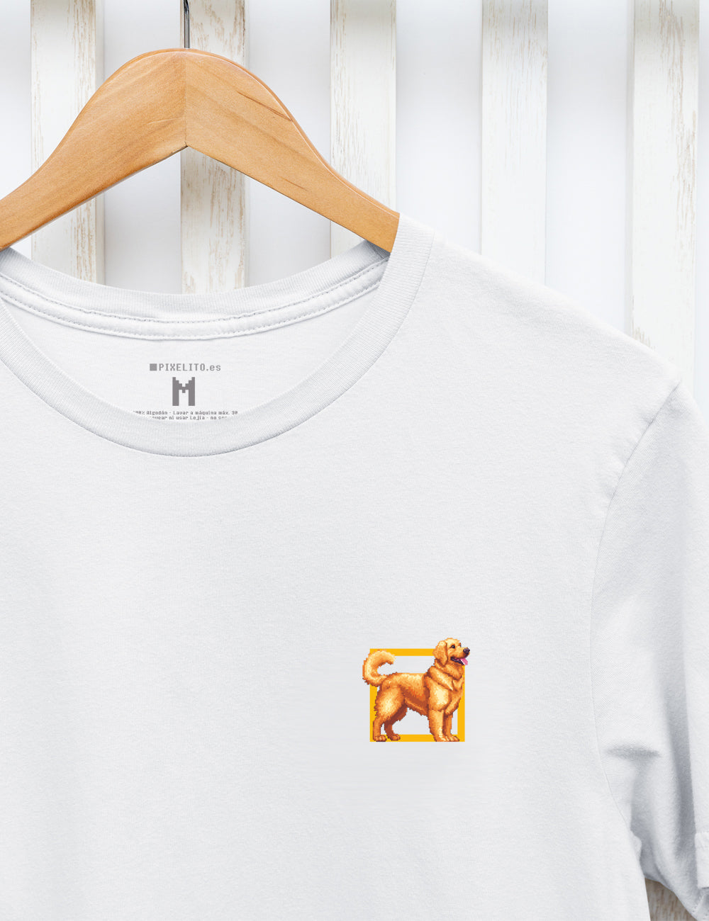 Golden Retriever - 035px