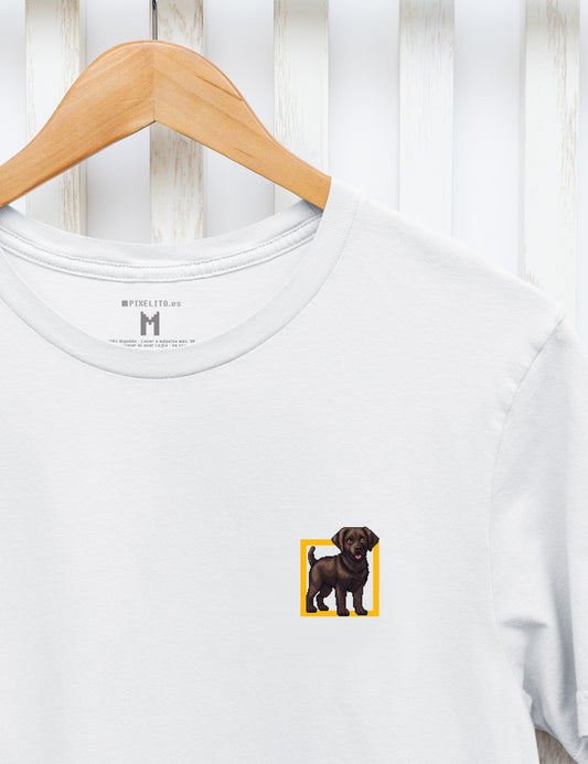 Labrador Retriever - 037px