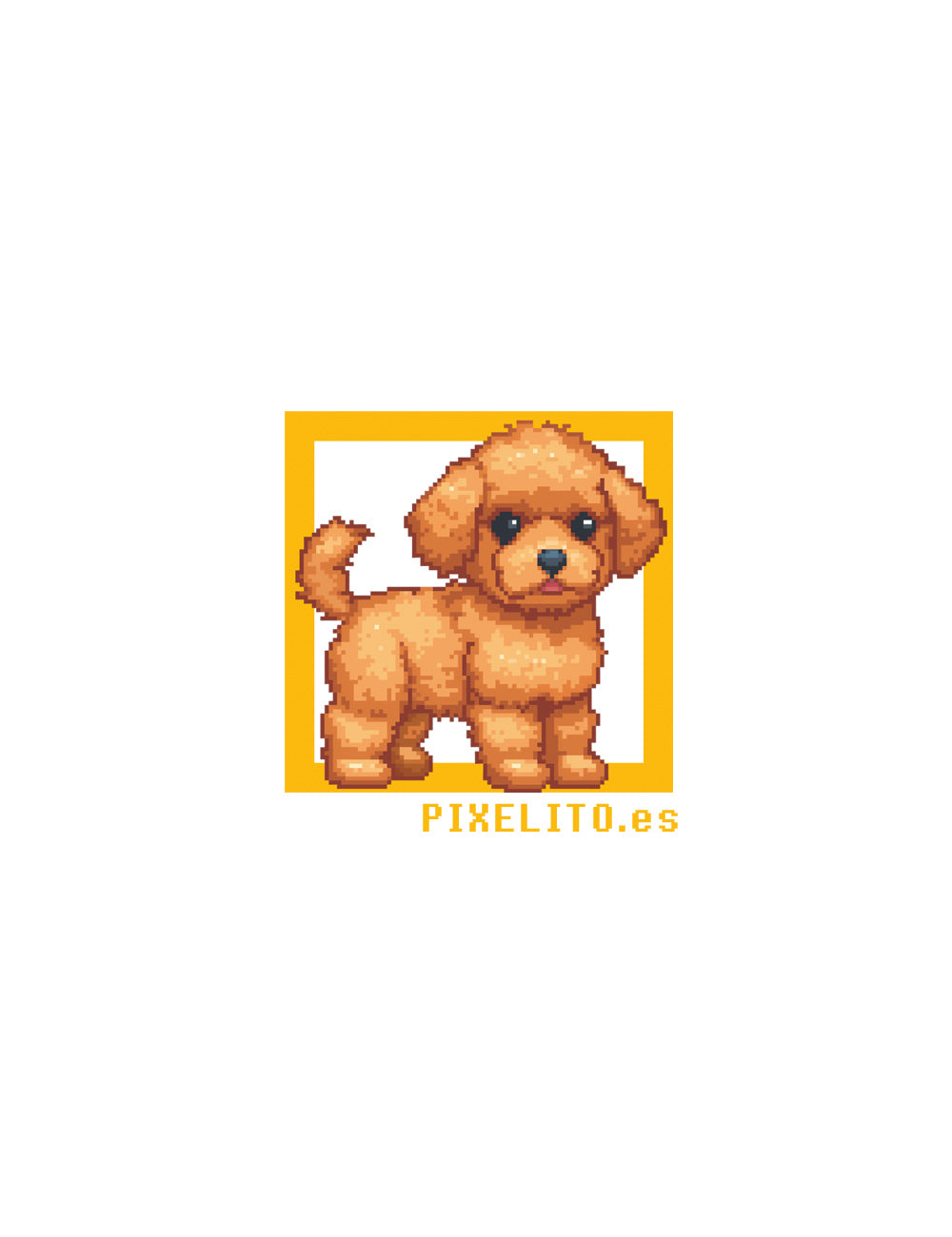 Maltipoo - 038px